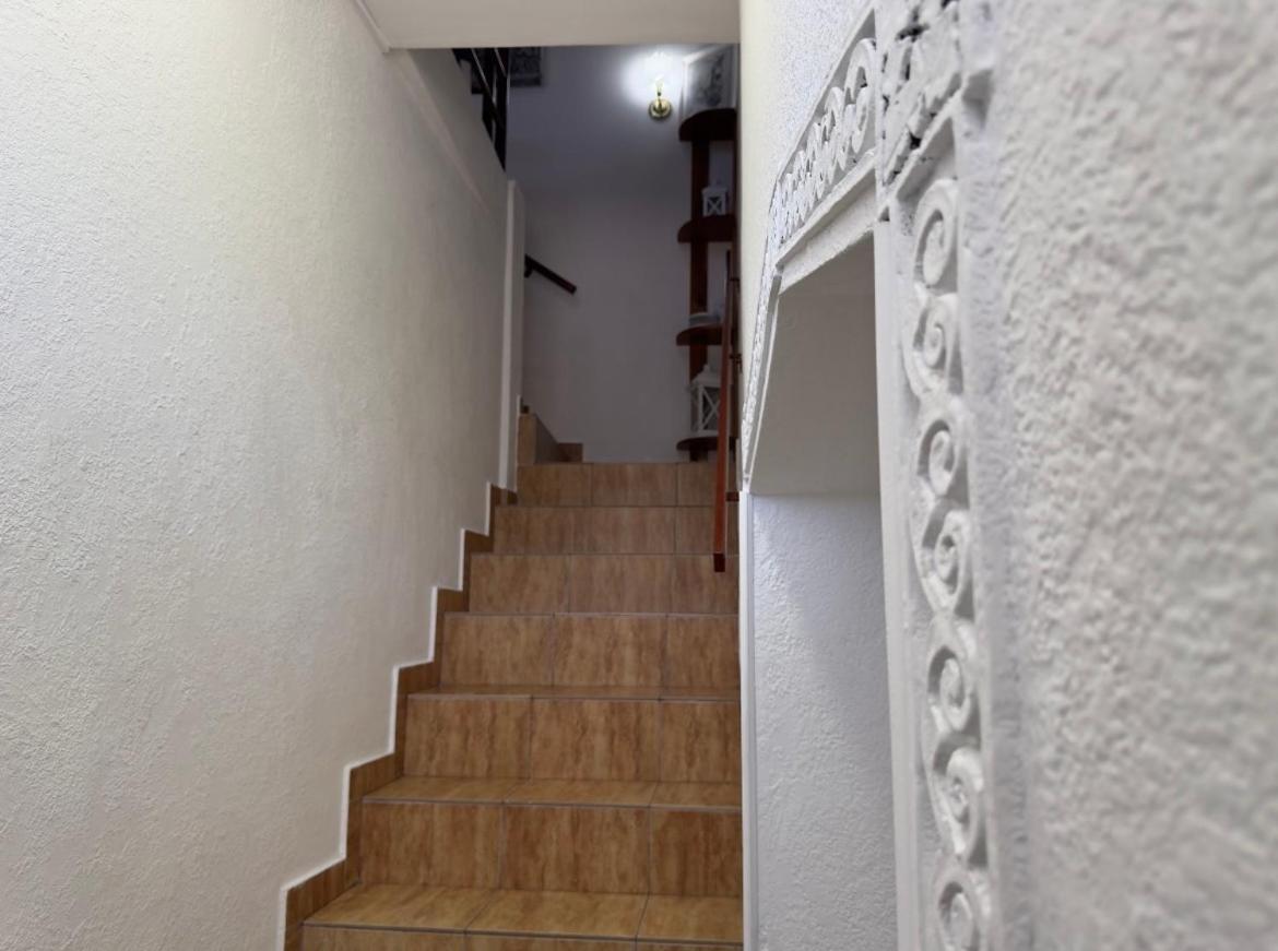 Guesthouse Vladimir & Ana Pančevo Zewnętrze zdjęcie