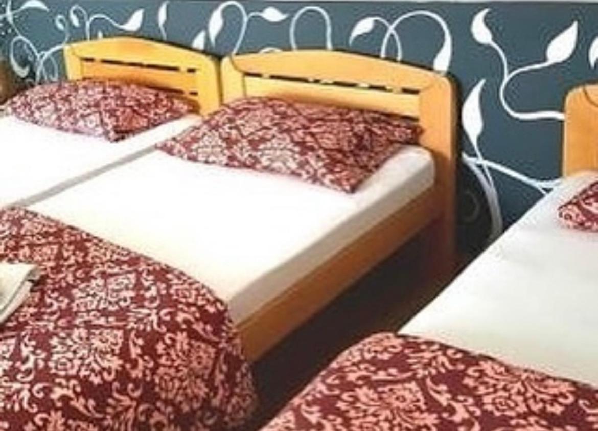 Guesthouse Vladimir & Ana Pančevo Zewnętrze zdjęcie